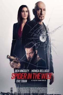 ობობა ქსელში / Spider in the Web