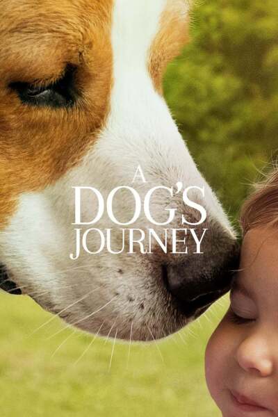 ერთი ძაღლის მოგზაურობა / A Dog's Journey